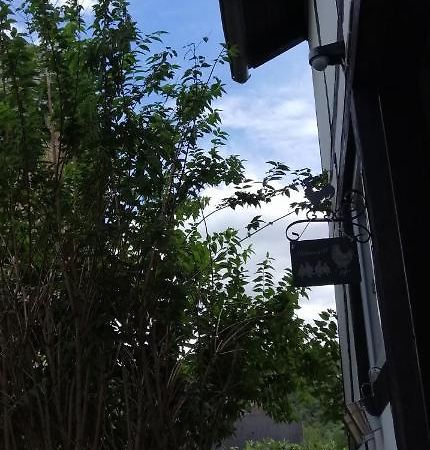 Huehnerstaellchen Dumpelfeld Zewnętrze zdjęcie